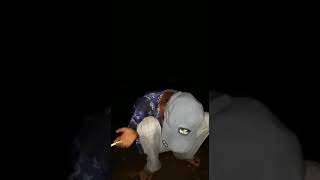 Download lagu Mang adeng wkwkwkwkwkwk mp3 Download lagu Mang adeng wkwkwkwkwkwk mp3