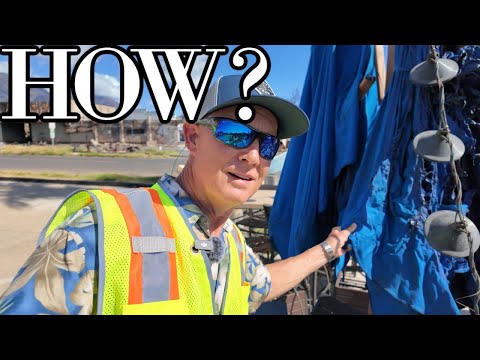 The Maui Blue Umbrellas