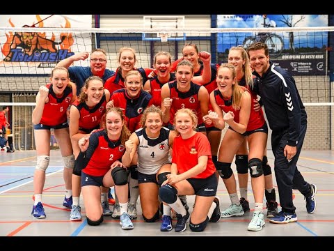 Taurus D1 - Compaen D1