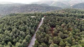İstanbul'un Saklı Cenneti: Başakşehir Şamlar Ormanı'nda Bir Gün 🌲