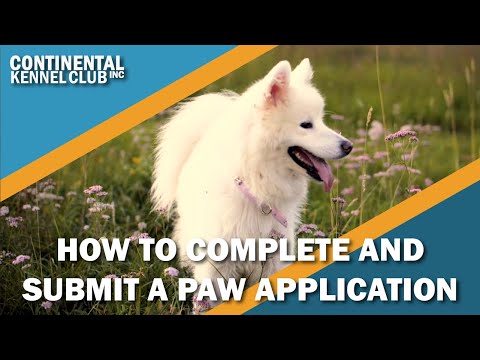 How to Complete and Submit a PAW Application