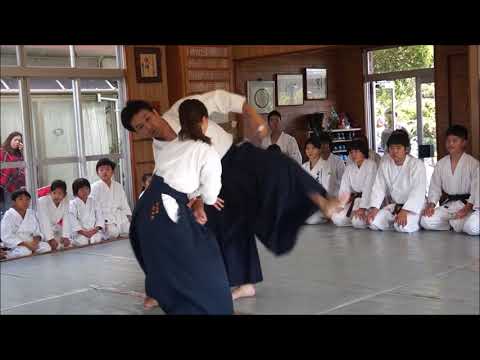 Powerful Aikido girl ( Wakayama Takemusukan dojo )