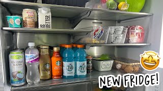 New Fridge Organization!
