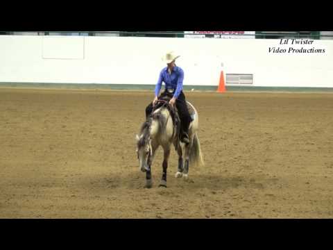 Peponita Shine - NRHA Non Pro Futurity at NCRHA Extravaganza - June 5, 2016