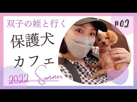 国際関係学科 保護犬カフェに双子の姪と行ってきました！