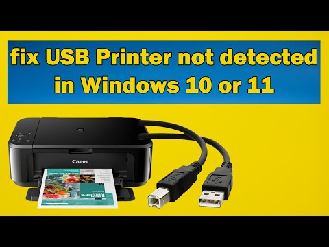 How to fix USB Printer not detected in Windows 10 or 11