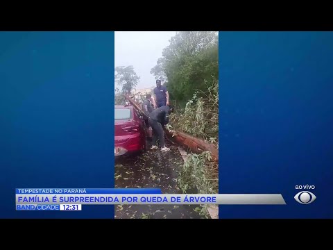Família é surpreendida por queda de árvore em Salto do Lontra