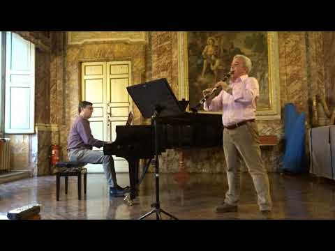 Swan Goose (Trascr. M. Mangani) - Sergio Bosi, Riccardo Brtoli