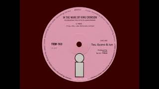 King Crimson "Trees" (Cover by Tao, Guano and Jun)