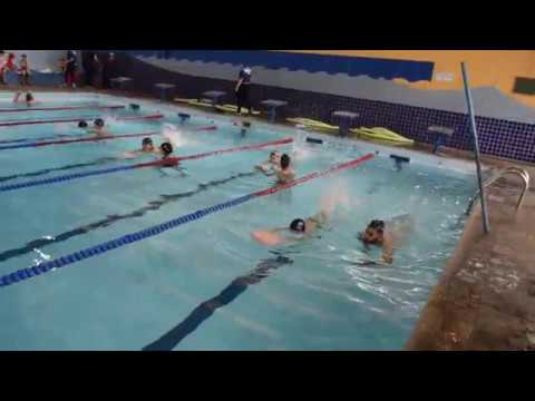 Copa Mesc de Natação 2016