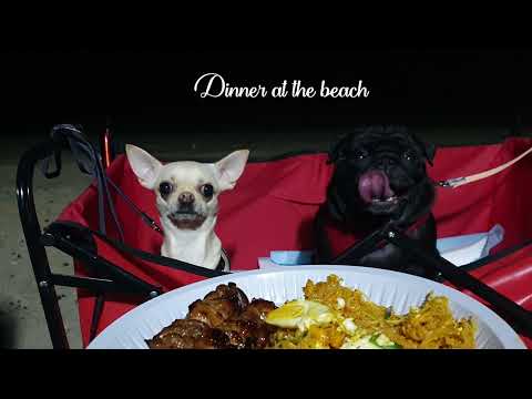 Vitamin Sea (Azerbaijan Beach, Qatar)