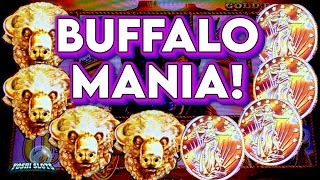 BUFFALO BIG WIN MANIA!!! BONUSES & RETRIGGERS!!! | On Buffalo Gold & Buffalo Gold Revolution