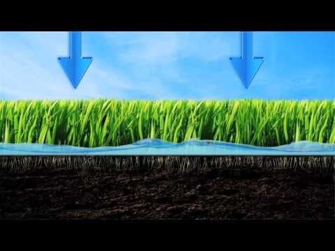 水を賢くしましょう - 芝生の水やりのヒント