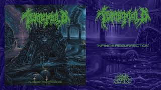 Infinite Resurrection Music Video