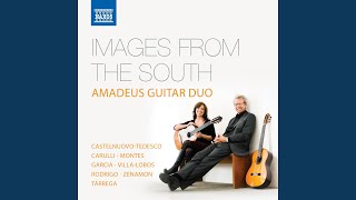 Amadeus Guitar Duo Akkorde