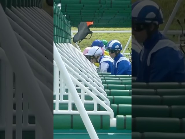 Thumbnail for Post ID: x7G6qvNhfJ4