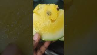 Download lagu Yellow Watermelon #Ratnadeep super market #Watermelon#fruits#summer mp3 Download lagu Yellow Watermelon #Ratnadeep super market #Watermelon#fruits#summer mp3