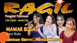 Download lagu MAWAR BODAS - DEVI BULE - RAGIL PONGDUT mp3 Download lagu MAWAR BODAS - DEVI BULE - RAGIL PONGDUT mp3