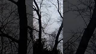 preview picture of video 'Experimental forest vinton county ohio'
