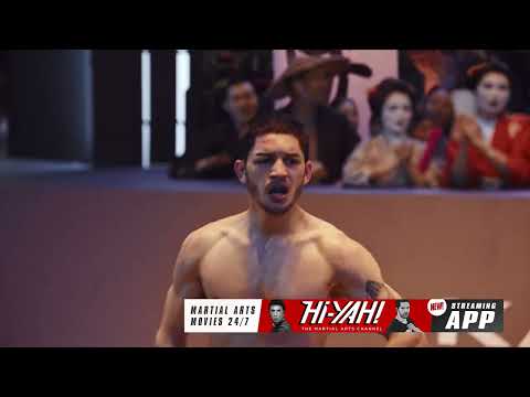 Hi-YAH! Highlight: They don't call them the fighting Irish for nothing.