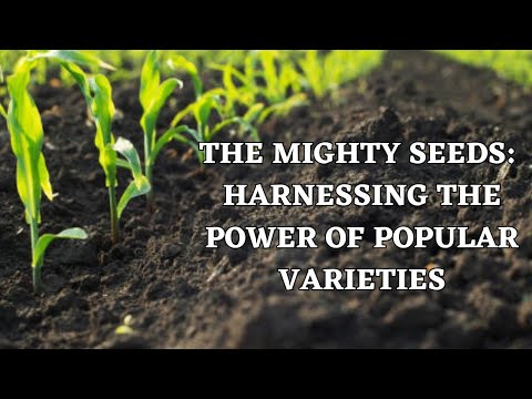 The Mighty Seeds  Harnessing the Power of Popular Varieties