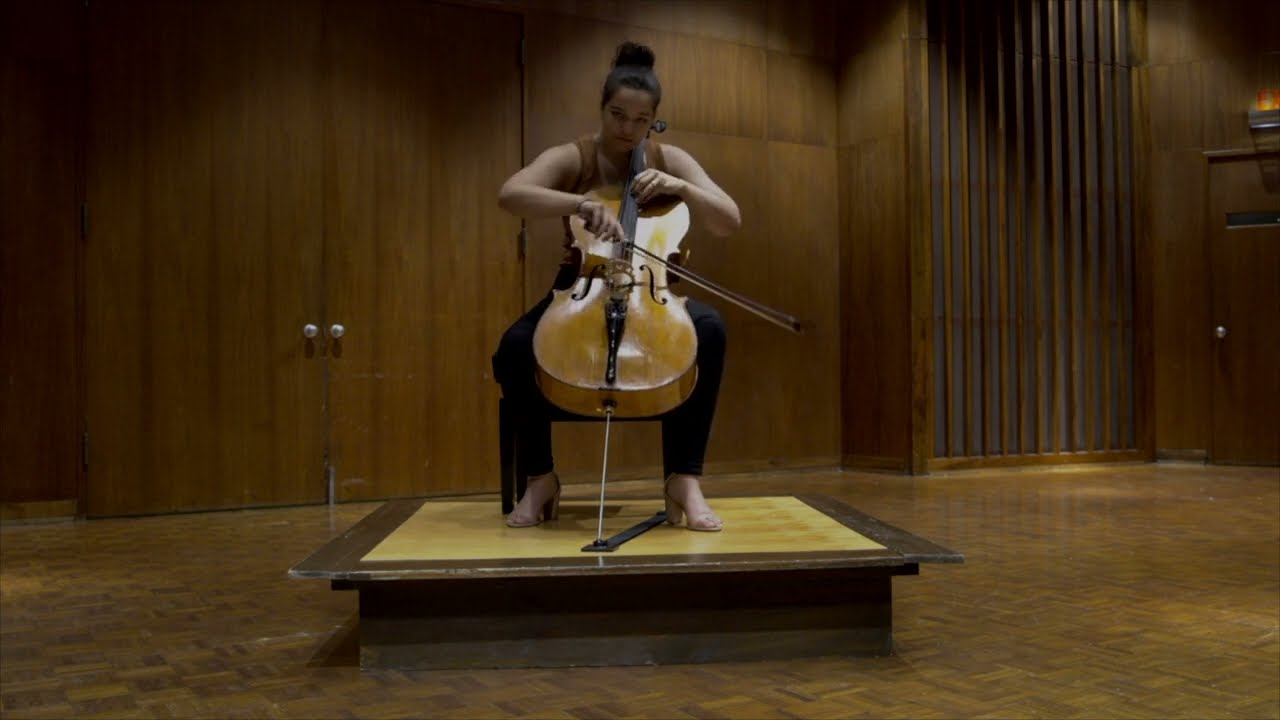 Promotional video thumbnail 2 for Serenading Strings