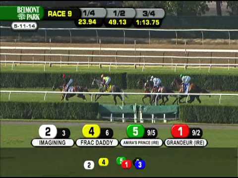 Imagining - 2014 Man o' War S. (G1)