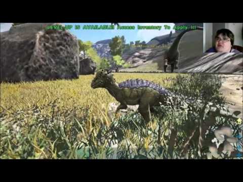 Stealing a wild baby egg! Ark Survival evolved short-ish movie