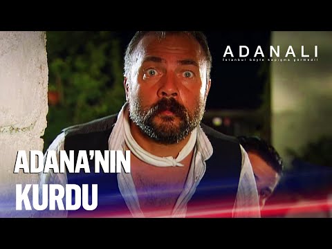 Adanalı's head was split open! - Adanalı Episode 72