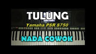 Download lagu Didi Kempot Tulung By Saka... mp3