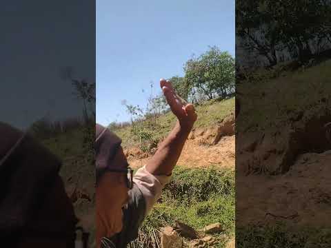 TV CHINA INFORMA GUAIÇARA INTERIOR DE SP..