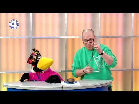 Ворона Капа и Санёк осваивают ударные инструменты