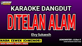 Download lagu DITELAN ALAM KARAOKE DANGDUT - ELVY SUKAESIH mp3 Download lagu DITELAN ALAM KARAOKE DANGDUT - ELVY SUKAESIH mp3