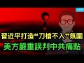 習近平打造 刀槍不入 輿論氛圍 在給自己挖坑 川普政府嚴重誤判中共的痛點