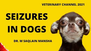 Veterinary Neurology: The  Causes, Clinical Signs, Diagnosis, And Treatment Of Seizures In Dogs