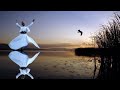 New Attractive Islamic Status 2021 Sufi Whirling WhatsApp Status Wajjay Allah Wali Taar Must Watch