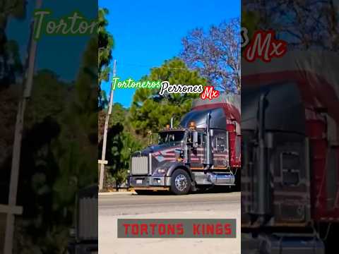 kenworth t800 al estilo torton con puro freno de motor chulada