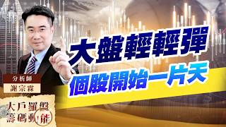 大盤輕輕彈 個股開始一片天 (圖)