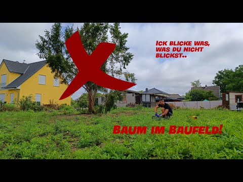 Hausbau Fällgenehmigung | Grundstücksvorbereitung