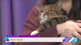 Pet of the Week: Meet Eros