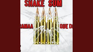 Shake Sum Music Video