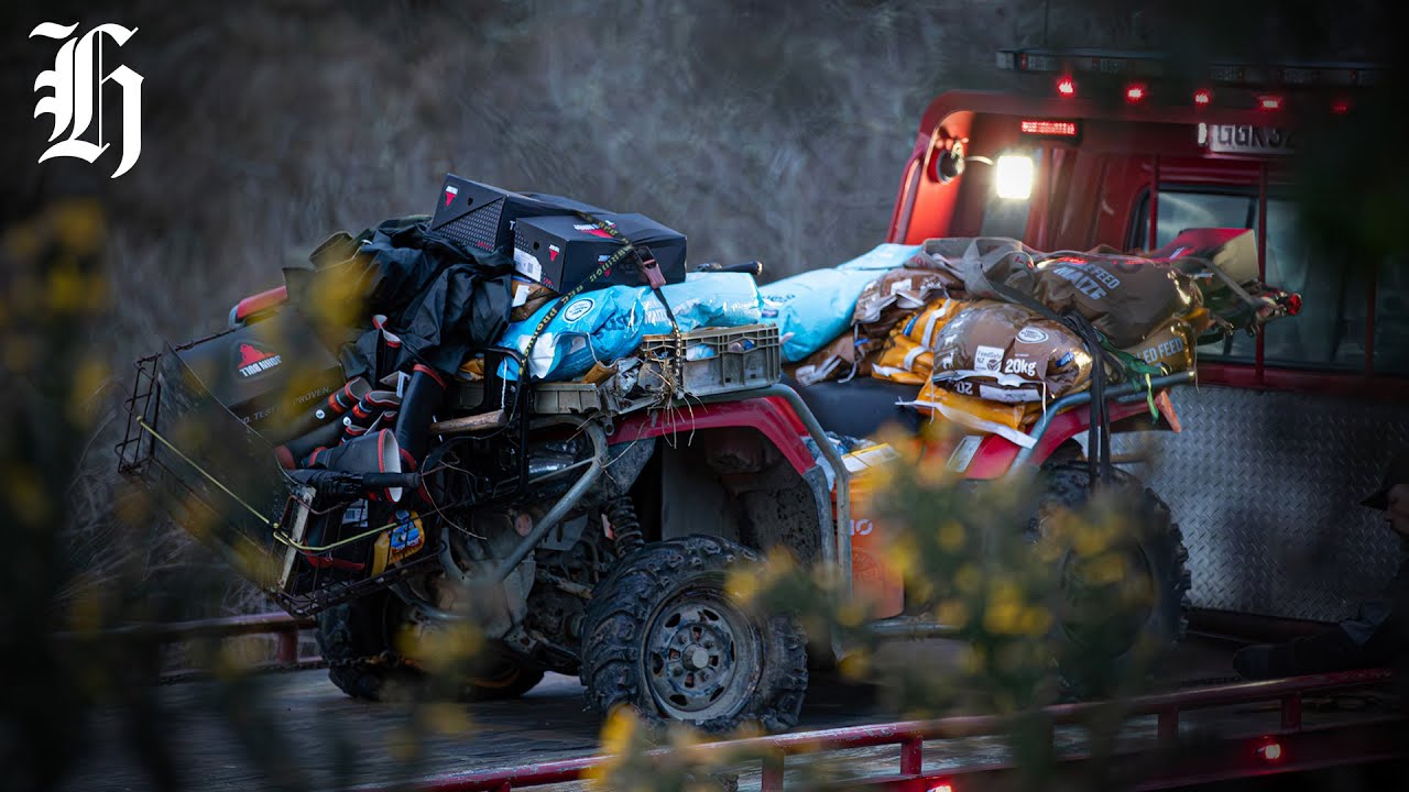 Children's commissioner: What's next for the Phillips Children | Herald NOW