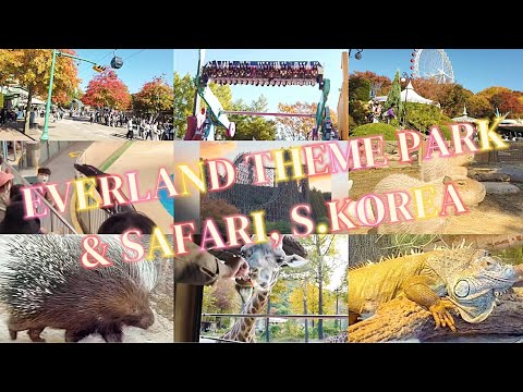 Parque Temático Everland e Safari, Coreia do Sul