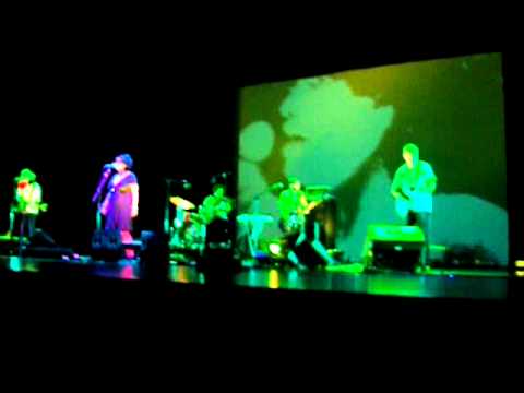 Tulipa Ruiz - A ordem das árvores