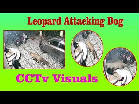 Durga Devi Poornauthi Homam by Vizag Defence Academy in Visakhapatnam,Vizagvision...