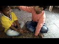 Harsh Vivian Aviraj Sorate