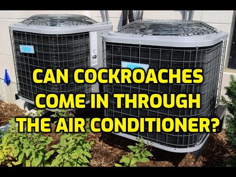 YouTube video about: Can bugs come through central air conditioner?