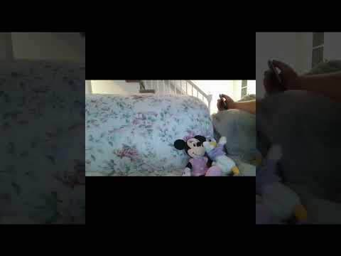 Blake catches minnie and daisy watching don't step in it commercial then blake does this #shorts