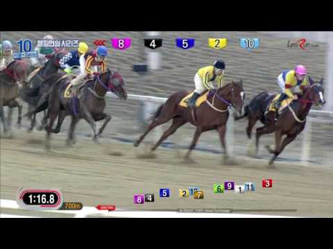 Gumanseok - Seoul Racecourse, January 8, 2017