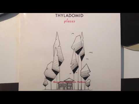 Thyladomid -  Blossoming Limburg feat. Mahfoud (Traum 221)